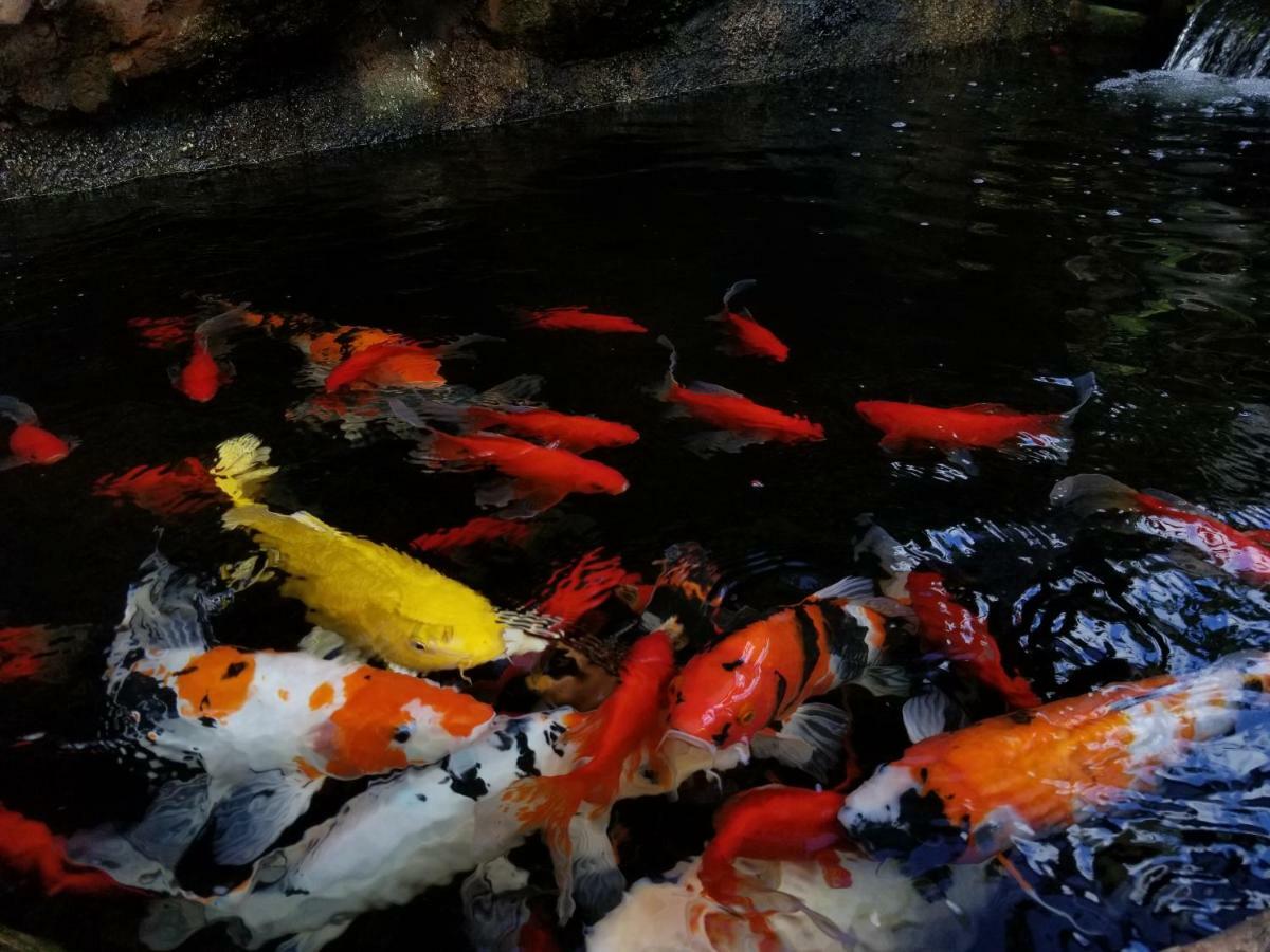 Sari Mimpi Kutuh Villa Ubud Exteriör bild
